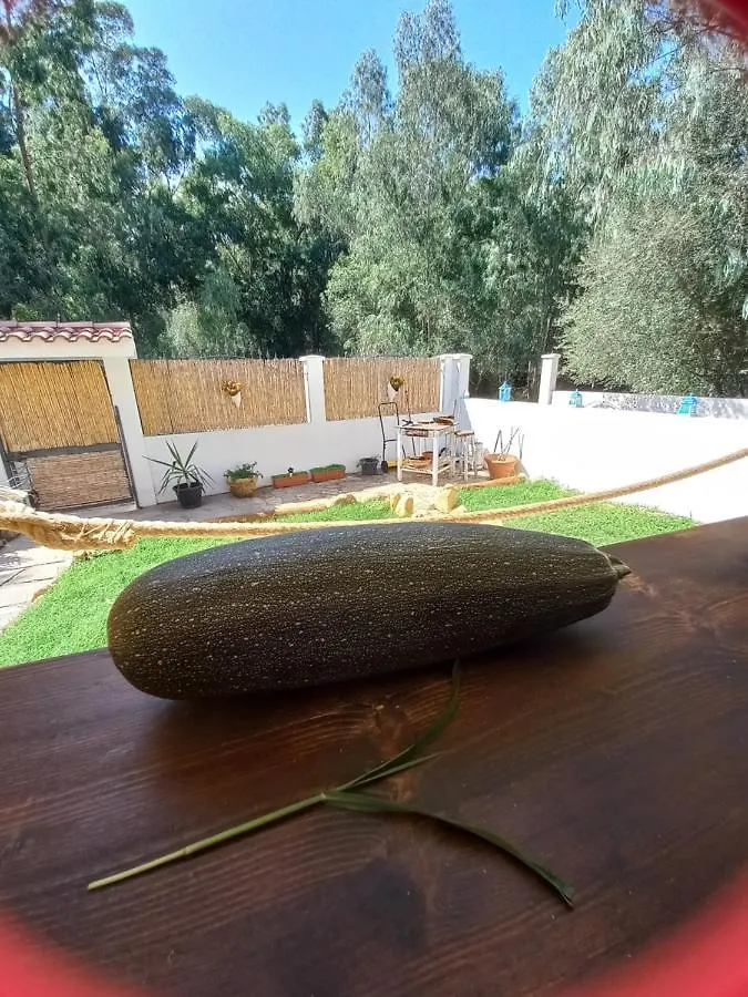 Villa Matilde Costa Rei Castiadas Affittacamere
